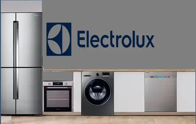 Bağcılar Electrolux servisi